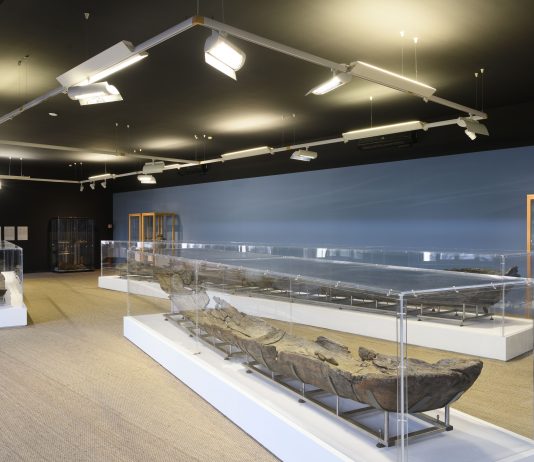 Il Museo delle Civiltà di Roma presenta nuovi percorsi di visita e progetti di ricerca