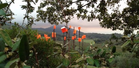 Open Gallery 2022 diventa Digital: percorsi d’arte e tecnologia a Roma e nel Lazio