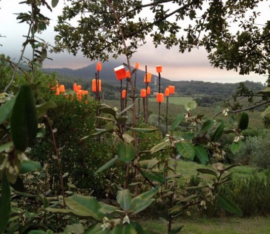 Open Gallery 2022 diventa Digital: percorsi d’arte e tecnologia a Roma e nel Lazio