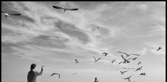 La fotografia nomade di Molichrom arriva a Campobasso: al via il Festival