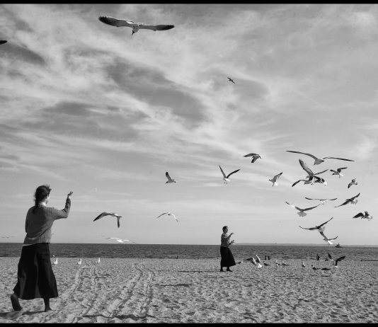 La fotografia nomade di Molichrom arriva a Campobasso: al via il Festival