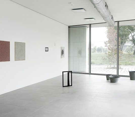 mtn è morto viva mtn: ultima mostra per lo spazio di Bologna