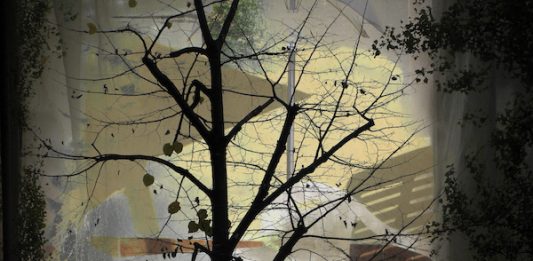 MORENO BOTTAUSCIO “Accumuli e Sovrapposizioni“ dal 3 al 19 Novembre 2022 alla Galleria Malinpensa by La Telaccia di Torino