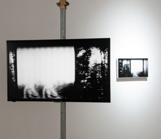 Materia oscura e suoni fantasmi, in mostra da Studio la Linea Verticale