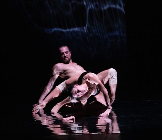 I debutti al Festival Visavì di Gorizia, che cresce e si diversifica