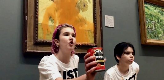 Gli attivisti di Just Stop Oil hanno lanciato una zuppa sui Girasoli di Van Gogh