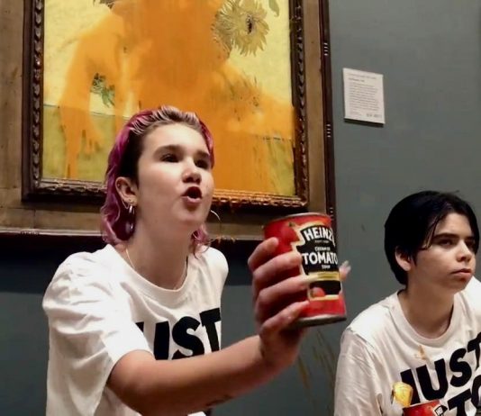 Gli attivisti di Just Stop Oil hanno lanciato una zuppa sui Girasoli di Van Gogh