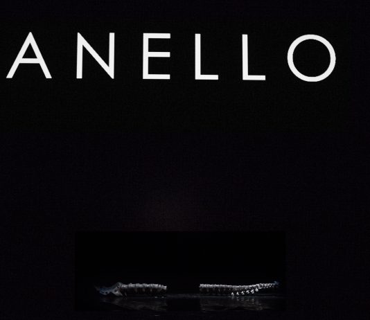 Il Terzo Reich di Romeo Castellucci. Nel regime della parola abusata