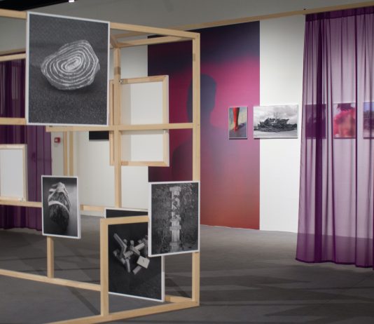 A CAMERA, a Torino, la giovane fotografia con ‘On the Verge’. Le parole del curatore