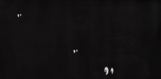 Tre, quattro galline in mostra: Nico Vascellari vince il Premio Pino Pascali