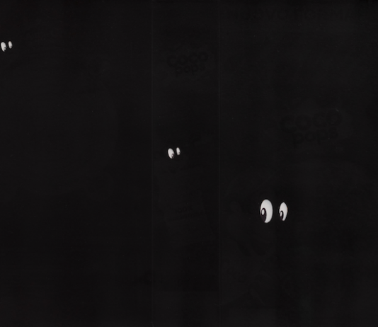 Tre, quattro galline in mostra: Nico Vascellari vince il Premio Pino Pascali