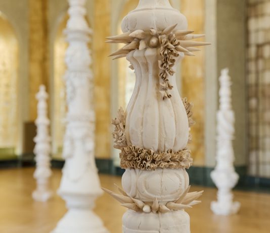 Tempo Rizomatico, le opere di Diego Cibelli nel cuore di Torino