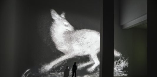 Gli occhi dello sciacallo. Michal Rovner alla Fondazione Merz