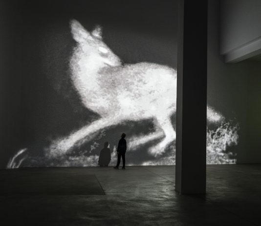 Gli occhi dello sciacallo. Michal Rovner alla Fondazione Merz