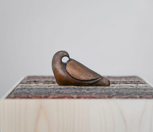 Fatma Bucak, In prestissimo – Galleria Peola Simondi