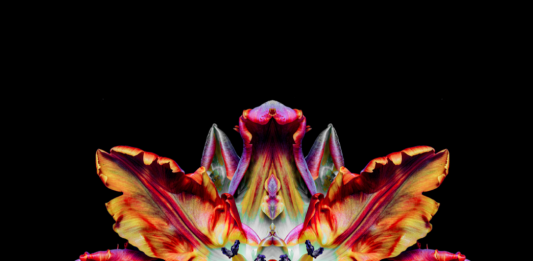 Jeff Robb, Beyond Nature – Il Salotto