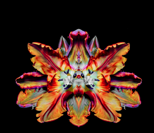 Jeff Robb, Beyond Nature – Il Salotto