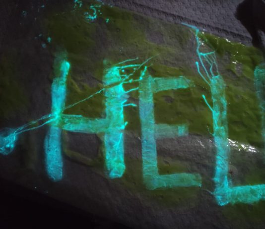 La Presidente dello Stato dei rifiuti: intervista a Maria Cristina Finucci