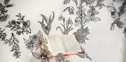 Post concettuale e piccole tradizioni: il Premio Alinovi Daolio va a Sabrina Mezzaqui