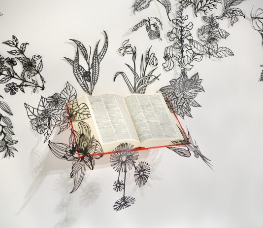 Post concettuale e piccole tradizioni: il Premio Alinovi Daolio va a Sabrina Mezzaqui