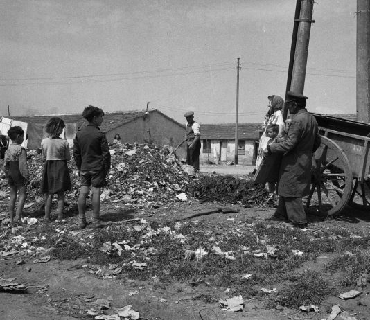 William Klein, Plinio De Martiis e Jonas Mekas. Le mostre al Mattatoio di Roma