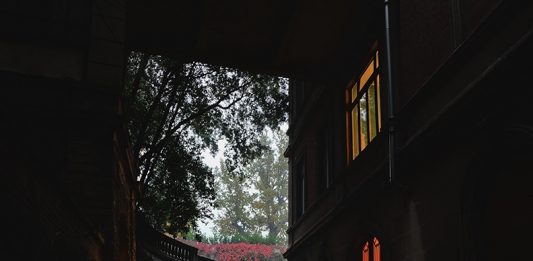 Torino Art To Date #3: dalle mostre di Flashback alle polaroid di Dr Fake Cabinet