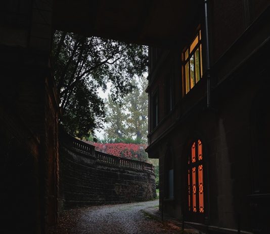 Torino Art To Date #3: dalle mostre di Flashback alle polaroid di Dr Fake Cabinet