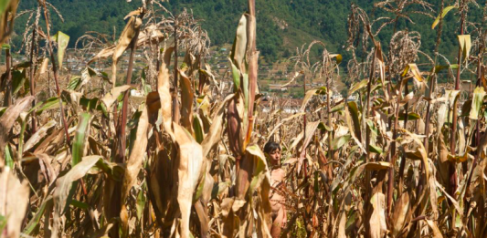 ‘Tierra’: Regina José Galindo al PAV Parco Arte Vivente, Torino