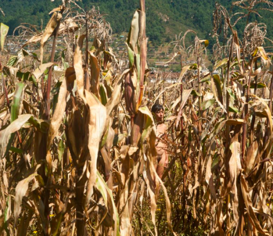 ‘Tierra’: Regina José Galindo al PAV Parco Arte Vivente, Torino