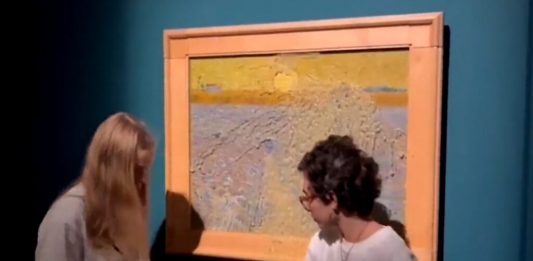 Roma, imbrattato con una zuppa di piselli un quadro di Van Gogh
