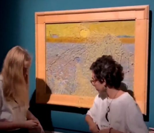 Roma, imbrattato con una zuppa di piselli un quadro di Van Gogh