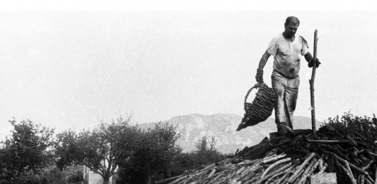 Un artista e un curatore hanno riattivato un borgo disabitato attraverso mostre e arte: nasce così FORESTART