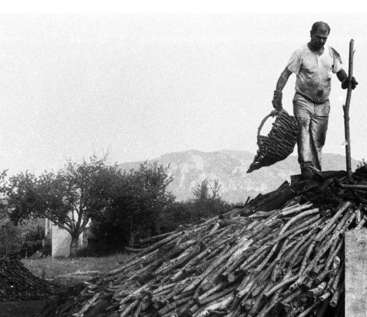 Un artista e un curatore hanno riattivato un borgo disabitato attraverso mostre e arte: nasce così FORESTART