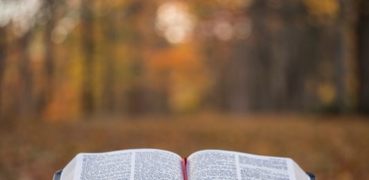 Consigli di Dis-lettura: tre libri nuovi e due riscoperte. Per nutrirsi di parole Book ph. Aaron Burden