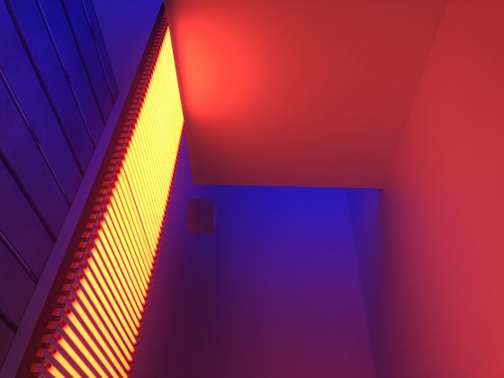 Carlos Cruz-Diez, Chromosaturation, installation view al Perez Art Museum ph. Elisa Bertaglia