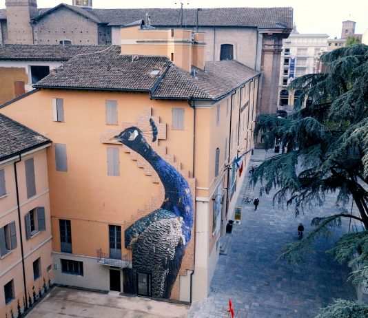 Reggio Emilia capitale del contemporaneo. Joan Fontcuberta e Italo Rota