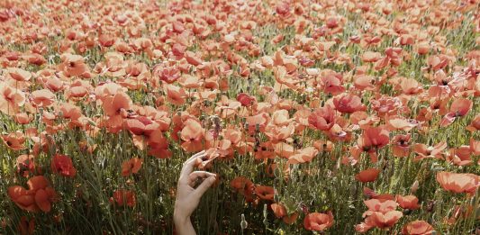 Uomo e natura, immagini dal giorno dopo: la mostra di Federico Masini a Torino