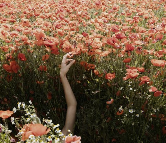 Uomo e natura, immagini dal giorno dopo: la mostra di Federico Masini a Torino