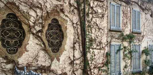 Il magnate francese Bernard Arnault acquista l’antica Vigna di Leonardo a Milano vigna leonardo milano Arnault