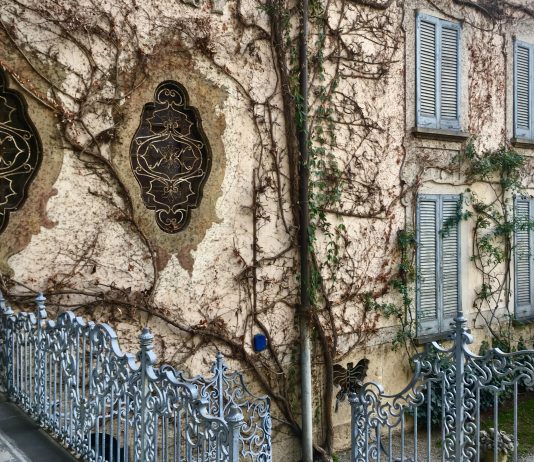 Il magnate francese Bernard Arnault acquista l’antica Vigna di Leonardo a Milano vigna leonardo milano Arnault