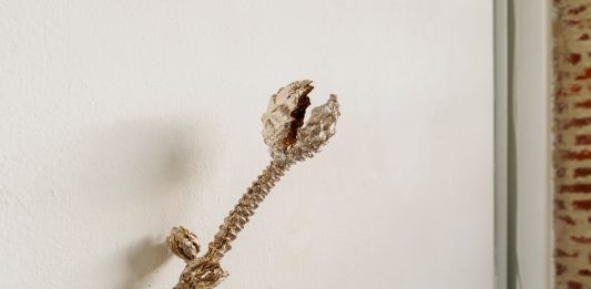 Luca Petti, Precipitazioni sotto il livello del mare – Careof Installation view, Luca Petti, Precipitazioni sotto il livello del mare, Careof 2022, photo credit Diego Mayon