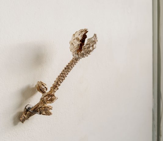 Luca Petti, Precipitazioni sotto il livello del mare – Careof Installation view, Luca Petti, Precipitazioni sotto il livello del mare, Careof 2022, photo credit Diego Mayon