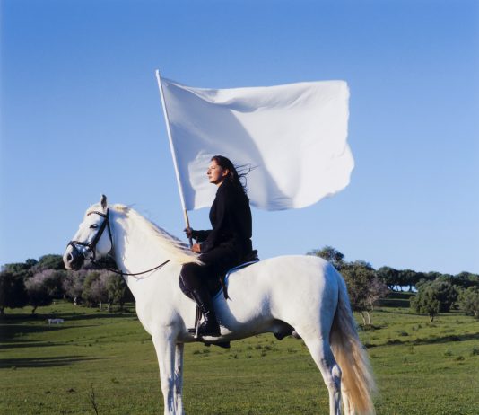 Storie, opere e curiosità, per (ri)scrivere l’arte femminile: la mostra a Saint-Étienne