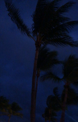 Miami Beach notturno ph. Elisa Bertaglia