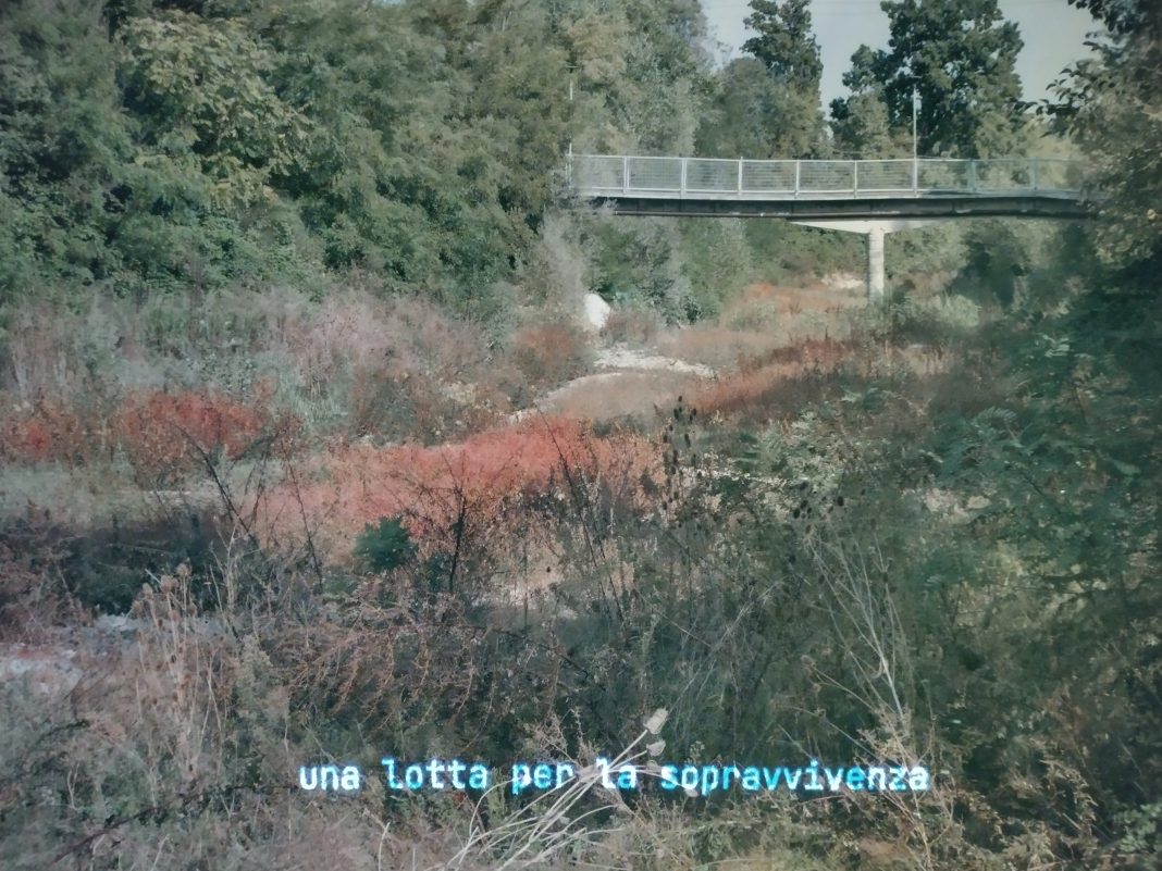 Tritto_Tiepido_CRAC.41 flavia tritto crac