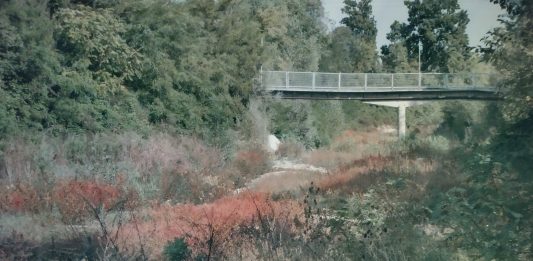 La realtà disattesa dalle parole: tre domande a Flavia Tritto flavia tritto crac