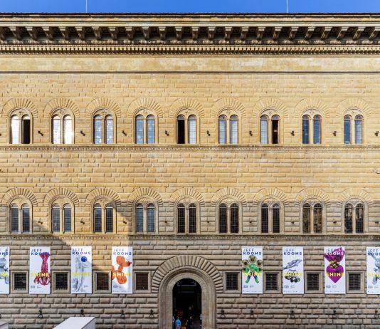 Reaching for the Stars: la mostra di Palazzo Strozzi e Fondazione Sandretto