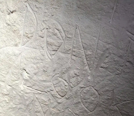 In Australia, alcuni vandali hanno distrutto opere rupestri di 20mila anni fa