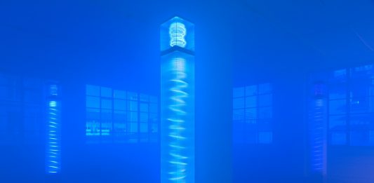 Laura Grisi – MAMCO Museo d’Arte Moderna e Contemporanea