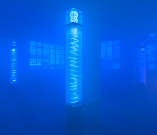 Laura Grisi – MAMCO Museo d’Arte Moderna e Contemporanea